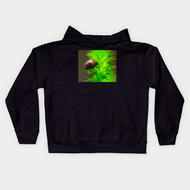 Its A bug! Kids Hoodie by Mickangelhere1